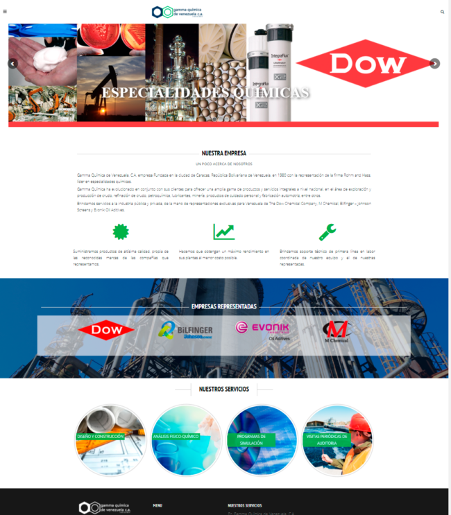 mockup web gamma quimica