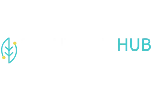 logosolutionshub-1